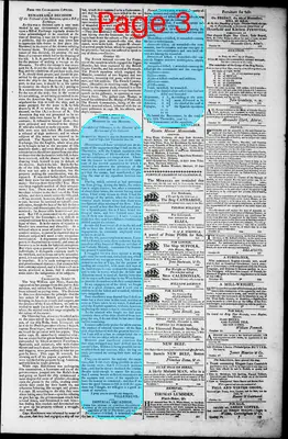 Page thumbnail for Norfolk Gazette And Publick Ledger