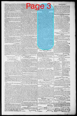 Page thumbnail for Norfolk Gazette And Publick Ledger