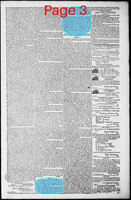 Page thumbnail for Norfolk Gazette And Publick Ledger