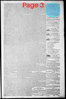 Page thumbnail for Norfolk Gazette And Publick Ledger