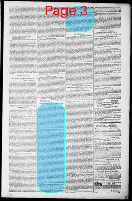 Page thumbnail for Norfolk Gazette And Publick Ledger