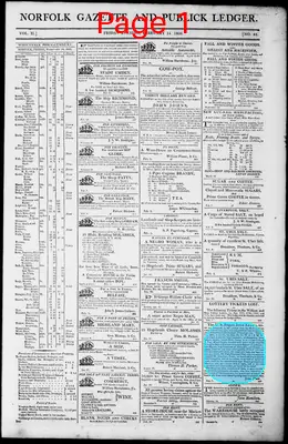 Page thumbnail for Norfolk Gazette And Publick Ledger