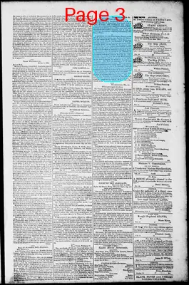 Page thumbnail for Norfolk Gazette And Publick Ledger