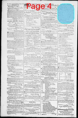 Page thumbnail for Norfolk Gazette And Publick Ledger