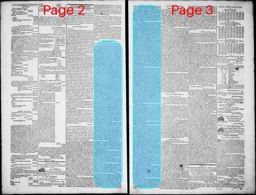 Page thumbnail for Norfolk Gazette And Publick Ledger