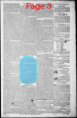 Page thumbnail for Norfolk Gazette And Publick Ledger
