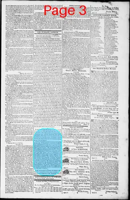 Page thumbnail for Norfolk Gazette And Publick Ledger