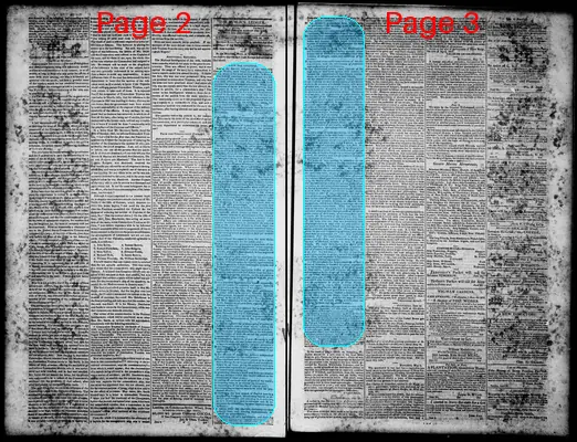 Page thumbnail for Norfolk Gazette And Publick Ledger