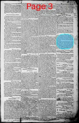 Page thumbnail for Norfolk Gazette And Publick Ledger