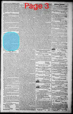 Page thumbnail for Norfolk Gazette And Publick Ledger