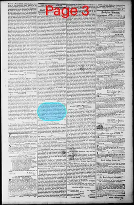 Page thumbnail for Norfolk Gazette And Publick Ledger