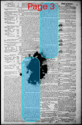 Page thumbnail for Norfolk Gazette And Publick Ledger