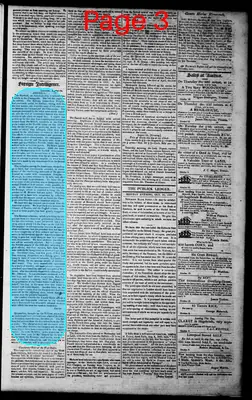 Page thumbnail for Norfolk Gazette And Publick Ledger