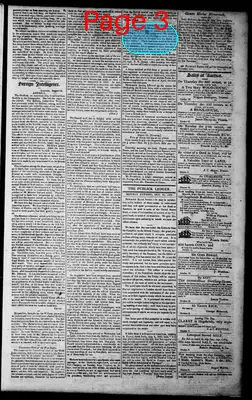 Page thumbnail for Norfolk Gazette And Publick Ledger
