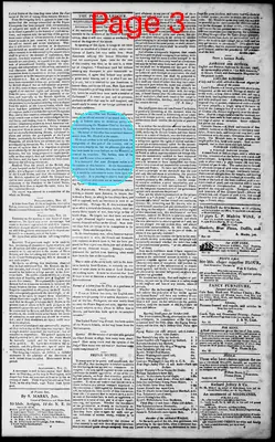Page thumbnail for Norfolk Gazette And Publick Ledger