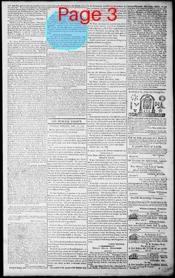 Page thumbnail for Norfolk Gazette And Publick Ledger