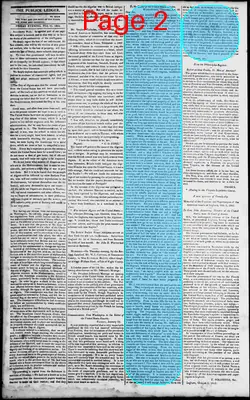 Page thumbnail for Norfolk Gazette And Publick Ledger