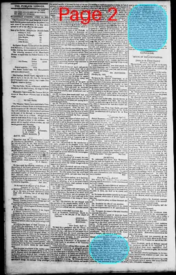 Page thumbnail for Norfolk Gazette And Publick Ledger
