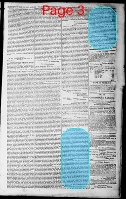Page thumbnail for Norfolk Gazette And Publick Ledger