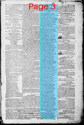 Page thumbnail for Norfolk Gazette And Publick Ledger