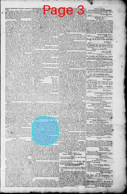 Page thumbnail for Norfolk Gazette And Publick Ledger