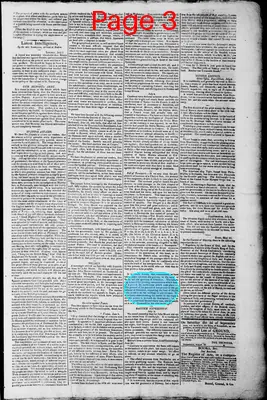 Page thumbnail for Norfolk Gazette And Publick Ledger