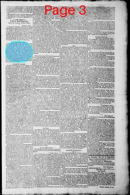 Page thumbnail for Norfolk Gazette And Publick Ledger