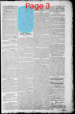 Page thumbnail for Norfolk Gazette And Publick Ledger