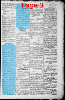 Page thumbnail for Norfolk Gazette And Publick Ledger