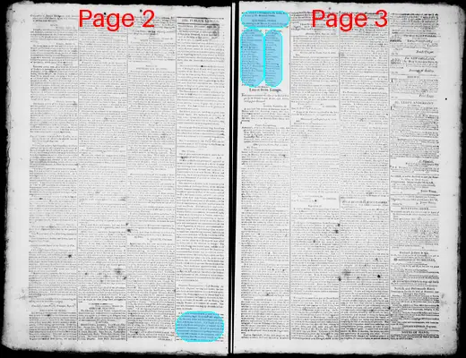 Page thumbnail for Norfolk Gazette And Publick Ledger
