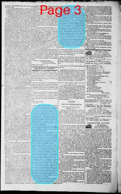 Page thumbnail for Norfolk Gazette And Publick Ledger