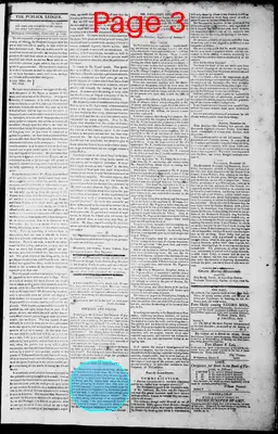 Page thumbnail for Norfolk Gazette And Publick Ledger