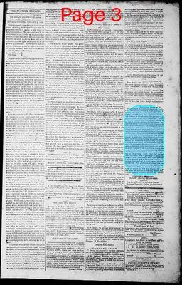 Page thumbnail for Norfolk Gazette And Publick Ledger