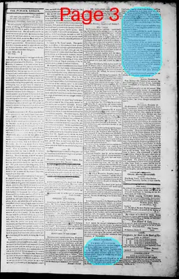 Page thumbnail for Norfolk Gazette And Publick Ledger