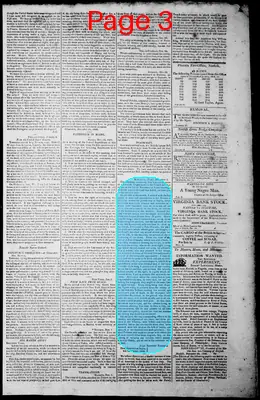 Page thumbnail for Norfolk Gazette And Publick Ledger