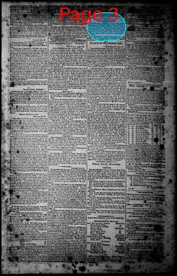 Page thumbnail for Norfolk Gazette And Publick Ledger