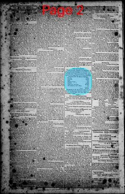 Page thumbnail for Norfolk Gazette And Publick Ledger