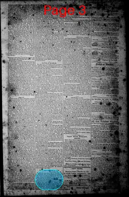 Page thumbnail for Norfolk Gazette And Publick Ledger