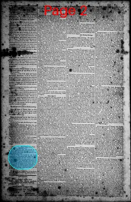 Page thumbnail for Norfolk Gazette And Publick Ledger