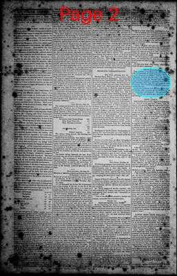 Page thumbnail for Norfolk Gazette And Publick Ledger