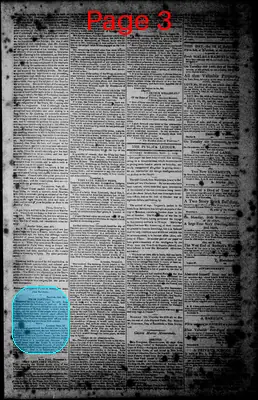 Page thumbnail for Norfolk Gazette And Publick Ledger