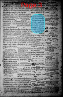 Page thumbnail for Norfolk Gazette And Publick Ledger