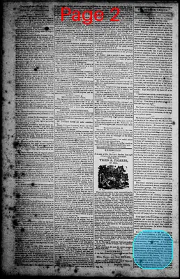 Page thumbnail for Norfolk Gazette And Publick Ledger