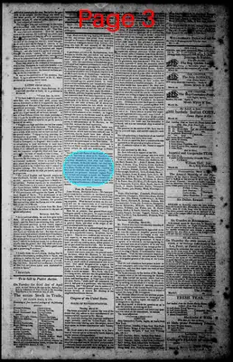 Page thumbnail for Norfolk Gazette And Publick Ledger