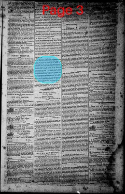 Page thumbnail for Norfolk Gazette And Publick Ledger