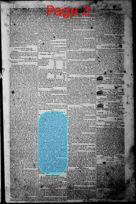 Page thumbnail for Norfolk Gazette And Publick Ledger