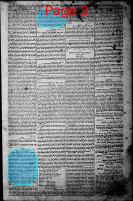 Page thumbnail for Norfolk Gazette And Publick Ledger