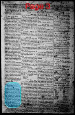Page thumbnail for Norfolk Gazette And Publick Ledger