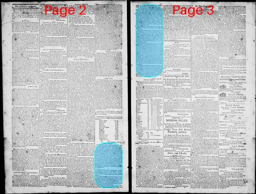 Page thumbnail for Norfolk Gazette And Publick Ledger