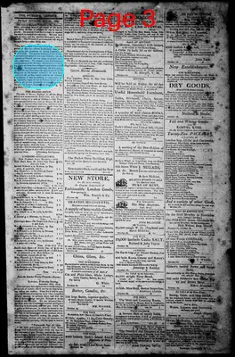 Page thumbnail for Norfolk Gazette And Publick Ledger